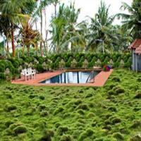 Hotel Bombay Tiffanys Mysore Eksteriør bilde